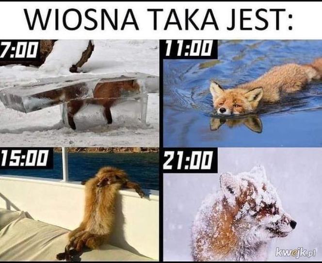 Przywołujemy wiosnę! Jedni topią Marzannę, a inni robią MEMY