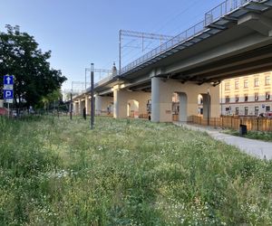 Park Kolejowy w Krakowie - 19 czerwca 2025 r.