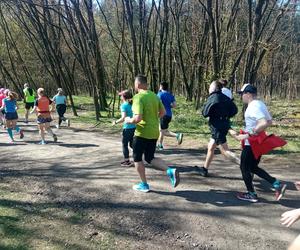 II edycja Bronek Run Forest Edition w Grudziądzu