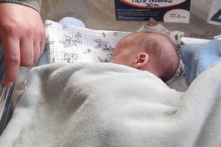 W Matce Polce przyszły na świat czworaczki