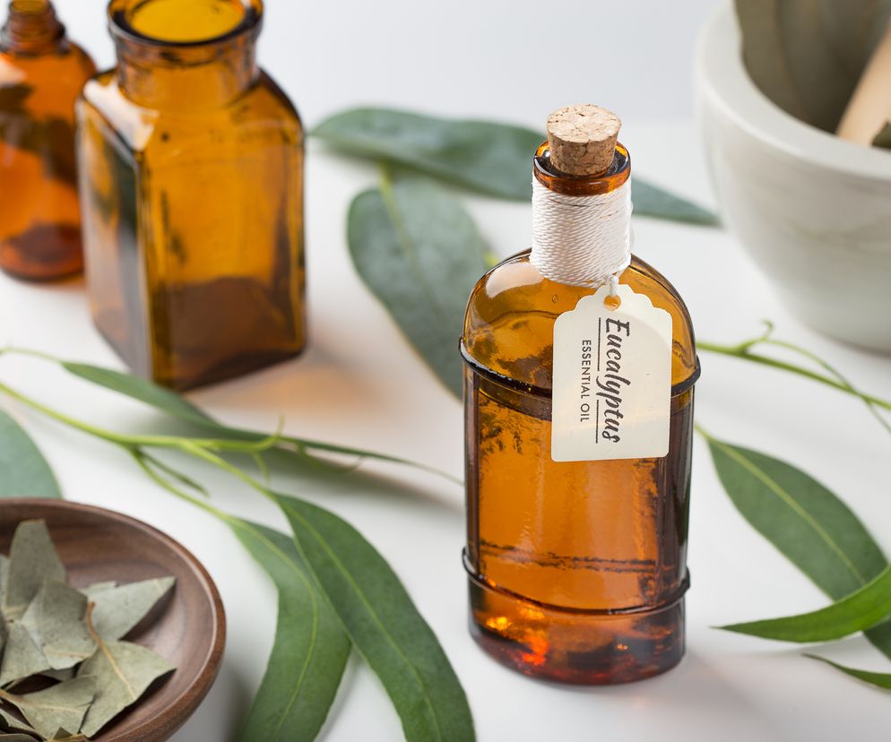 Eukaliptus - właściwości lecznicze i zastosowanie