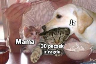 Najlepsze MEMY na Tłusty Czwartek! 