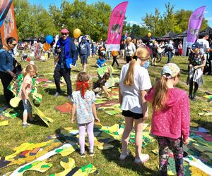 Witaj Lato na Bielanach! Wielkie gwiazdy wystąpią na dzielnicowym pikniku