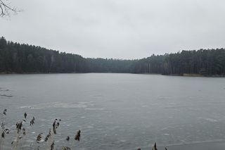 To najpiękniejsze miejsce w Olsztynie. Sztuczna inteligencja wybrała