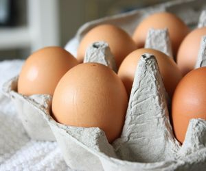 Salmonella na skorupkach jaj znanego producenta