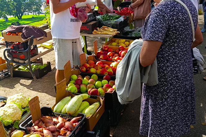 50. edycja kiermaszu "Pamiętajcie o ogrodach"