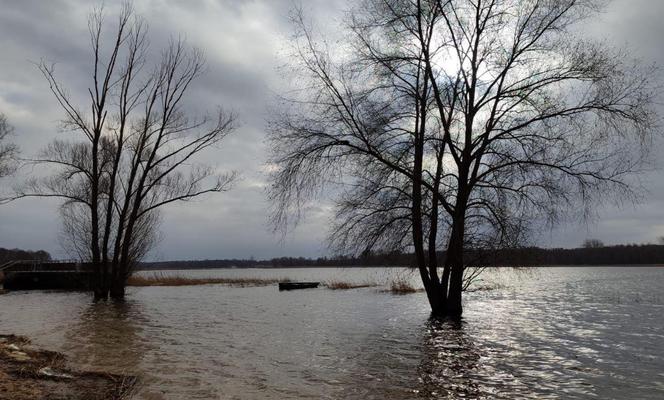 Plaża w Nowym Dębcu zalana