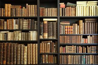 QUIZ. Poniedziałkowy test z wiedzy ogólnej. Marzysz o komplecie punktów? Marz dalej