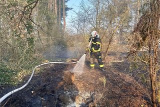 Spadła linia wysokiego napięcia. Ogień podchodził pod domy, ludzie ruszyli do gaszenia jeszcze przed strażakami