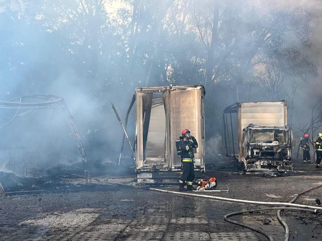 Łódź. Ogromny pożar ciężarówek i składowiska palet. Dramat na ul. Starorudzkiej [ZDJĘCIA].