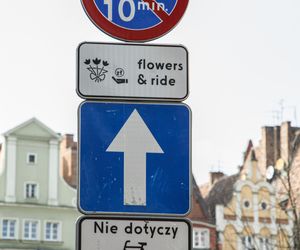 Nietypowe oznakowanie we Wrocławiu 