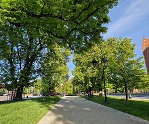 Plac Kościeleckich rozkwita na wiosnę. Bydgoszczanie chętnie wybierają go na spacer