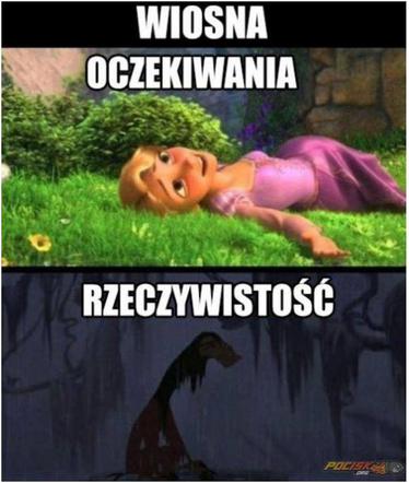 Równonoc jesienna 2020. Zobacz najlepsze memy na pierwszy dzień jesieni