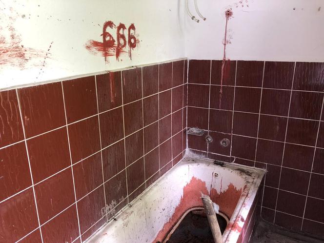 Scena jak z horroru w Sobótce! Martwy kot w wannie i mnóstwo krwi!
