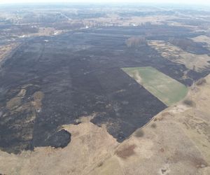 Mazowsze płonie. Ponad 300 pożarów w dwa dni. Strażacy biją na alarm!