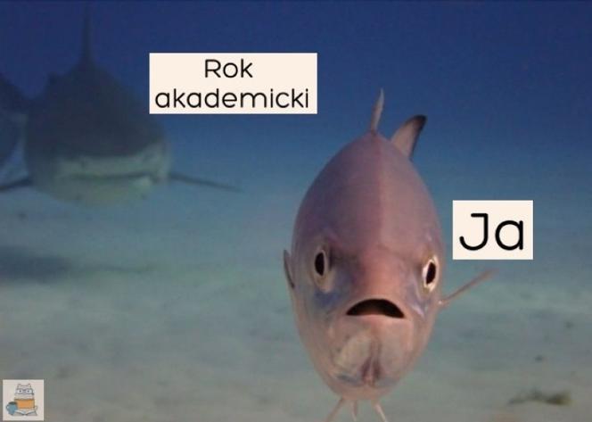 Początek roku akademickiego 2022/2023. Zobacz najlepsze memy o studiach i studentach!