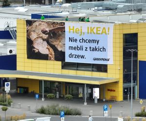 Protest Greenpeace. Rozwiesili wielki baner na Ikei pod Warszawą