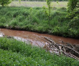 Pożar w Siemianowicach Śląskich był zlecony przez Rosję?