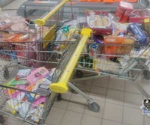 Cwane Czeszki przyłapane na kradzieży w Polsce. Rachunek zwala z nóg