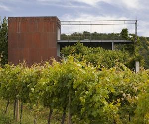 Współczesna architektura i winnice: Winery Brič, Słowenia