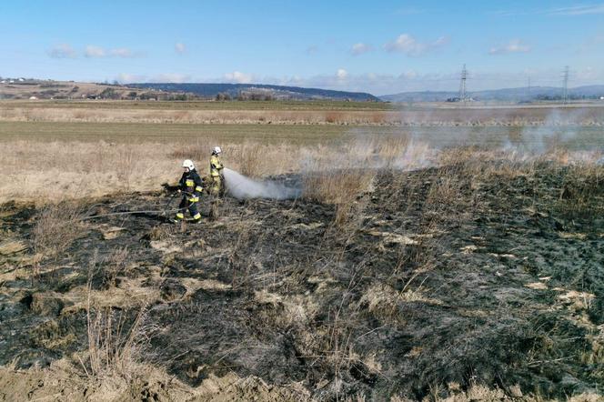 W całym regionie palą się suche trawy. Strażacy jeżdżą od pożaru do pożaru 