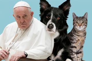 Dziwna audiencja papieża Franciszka. Dostało się opiekunom psów i kotów 