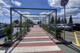 Tak wygladają ogrody deszczowe na parkingu przed terminalami Katowice Airport