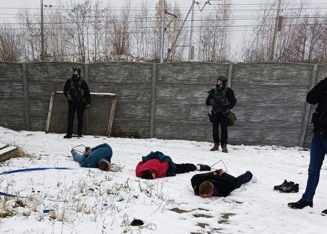 Wielki cios w narkobiznes! Bydgoscy policjanci skonfiskowali ponad 300 kg narkotyków