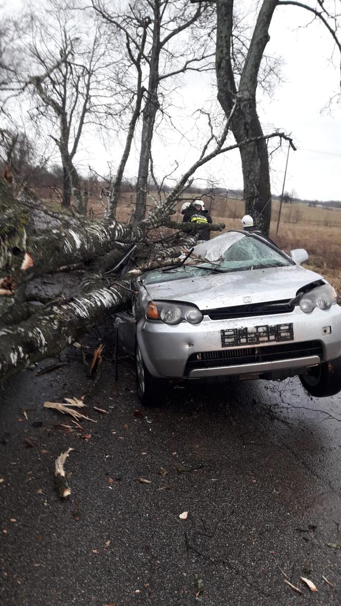 Wichura na Warmii i Mazurach. Tysiące interwencji strażaków [ZDJĘCIA]