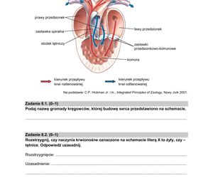 Matura 2025: biologia 9.05.2025. Arkusze CKE i odpowiedzi [Formuła 2015]
