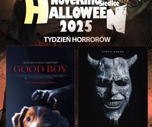 Tydzień Halloween w NoveKino Siedlce już od 31 października!