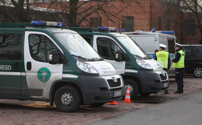 ITD nie ma litości! Inspektorzy nakładają surowe kary na zagranicznych kierowców - WIDEO