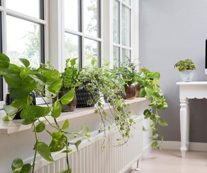 Wylewasz wodę po gotowaniu warzyw? To błąd!