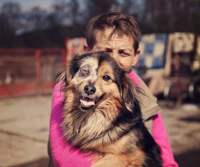 OPRAWCY ZWIERZĄT IDĄ DO WIĘZIENIA