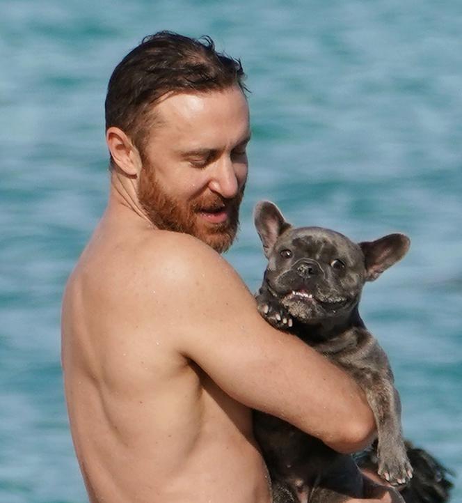 David Guetta z psem na plaży w Miami