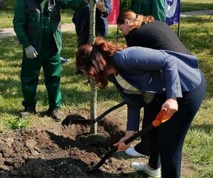 Obietnica frekwencyjna dotrzymana! Prezydentki Gdańska i Gdyni zasadziły drzewo