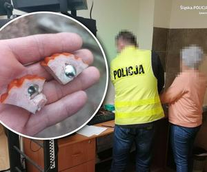 Szok! 69-latka chciała zabijać psy wędliną z pinezkami. Denerwowało ją szczekanie