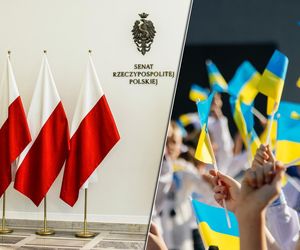 Senat zaostrza warunki pobytu Ukraińców w Polsce