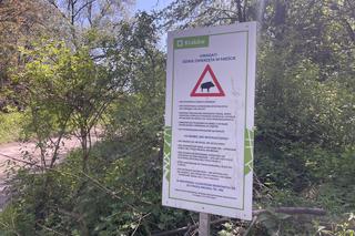 Kraków ma najdłuższy park w Polsce. Poznajcie Młynówkę Królewską! 