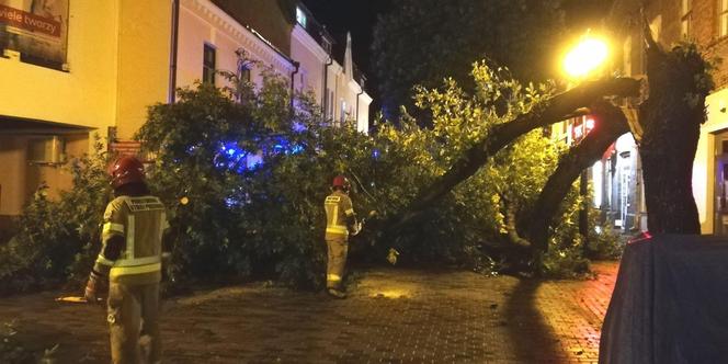 Zniszczenia po burzach w woj. lubelskim