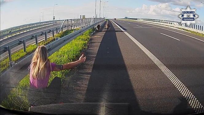 Policjantka z Częstochowy uratowała psy na S5