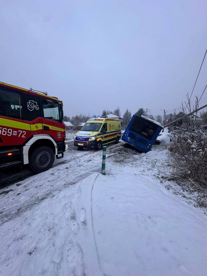 Pasażerowie przeżyli prawdziwe chwile grozy. Autobus zjechał do rowu i uderzył w słup!