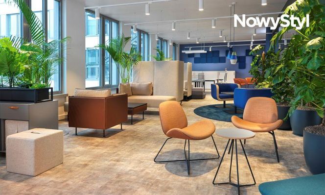 Nowy styl - salony i showroomy