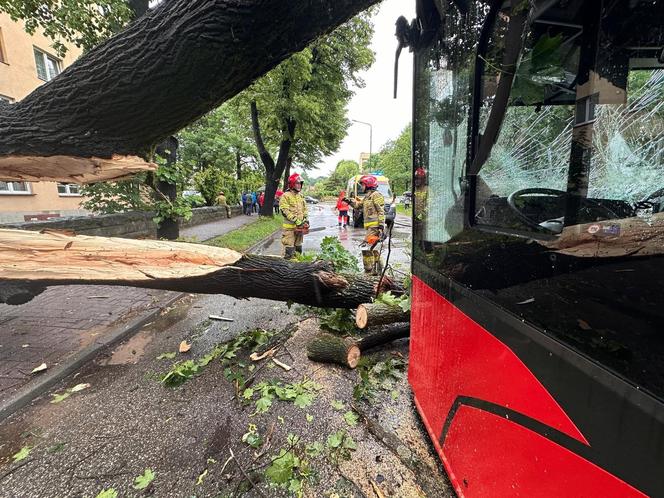 Drzewo przewróciło się na miejski autobus. Są osoby poszkodowane