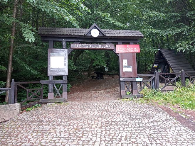 Nowa Słupia, Puszcza Jodłowa i Święty Krzyż