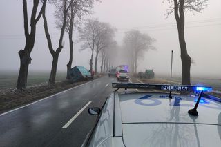 Karambol na drodze do Mławy. Fragmenty roztrzaskanych aut powpadały do rowów. „Na miejscu pracują służby”