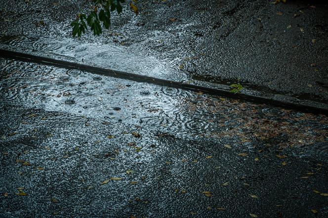  MARZNĄCE opady deszczu w Kaliszu i regionie! Trudne warunki na drogach! [OSTRZEŻENIE IMGW]