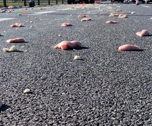 Karambol na A4 pod Krakowem. Autostrada zasypana mrożonym mięsem
