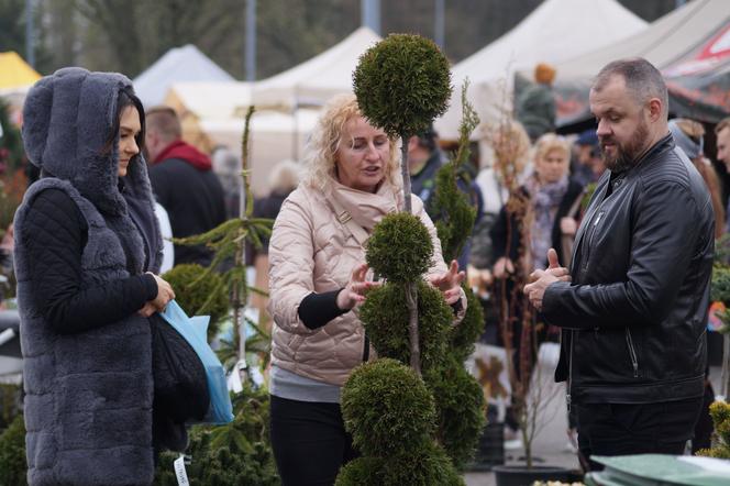 Wiosenny Kiermasz Ogrodniczy przy bydgoskim Torbydzie [ZDJĘCIA]