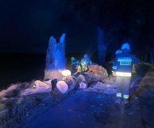 Wichura zmiotła drzewo na samochód. Ojciec i córka poszkodowani